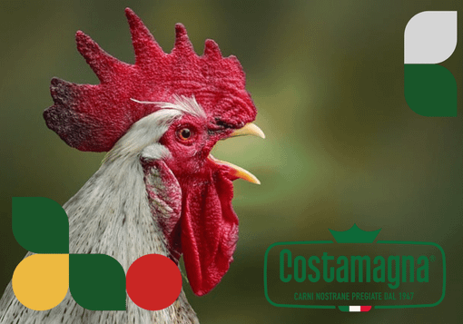 Alimentazione sana: scopriamo la filiera sostenibile Europoll per carni bianche sane e saporite