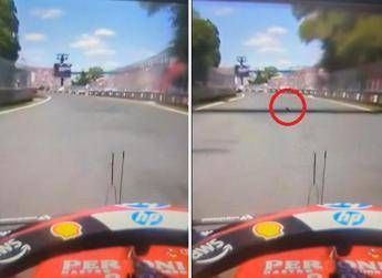 Gp Montreal, Hamilton investe una marmotta. Poi i problemi ai freni - Il video Gp Montreal, Hamilton investe una marmotta. Poi i problemi ai freni - Il video