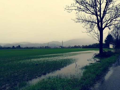 Più di un milione di euro per mettere in sicurezza il rio Freidano di Settimo Torinese