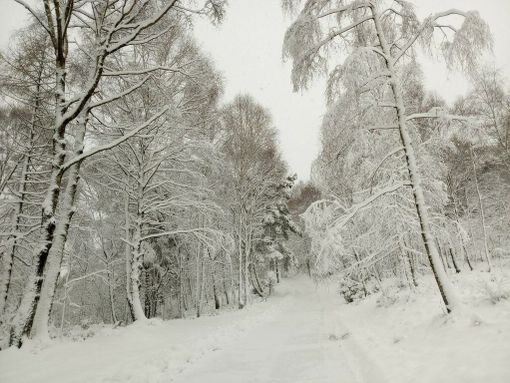 Meteo: continua il freddo e vento sulle pianure, neve sulle Alpi