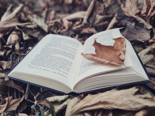 Benvenuto ottobre e alla magia dell’Ottobrata