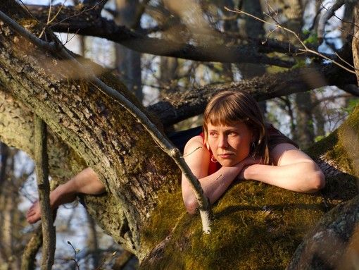 Cinema in alta quota con il Sestriere Film Festival e Cinemambiente in Valchiusella: cosa fare a Torino fino a domenica 3 agosto Cinema in alta quota con il Sestriere Film Festival e Cinemambiente in Valchiusella: cosa fare a Torino fino a domenica 3 agosto