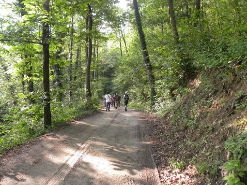 Il bosco del Vaj Il bosco del Vaj