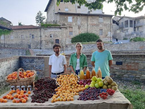 Prima Sagra dell’Albicocca Tonda di Costigliole Saluzzo, sabato 9 e domenica 10 luglio