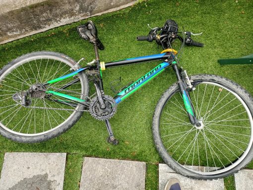 A Marentino i cinghiali disarcionano un ciclista di 13 anni: ricoverato in ospedale