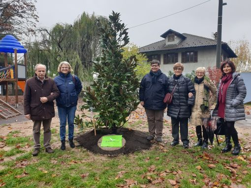 Celebrata a Chivasso la Giornata nazionale degli Alberi Celebrata a Chivasso la Giornata nazionale degli Alberi