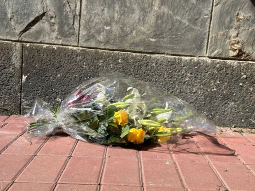 fiori alla stazione di brandizzo fiori alla stazione di brandizzo