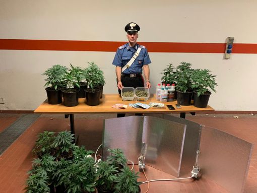 La ricetta per la marijuana? Nascosta in cucina tra le spezie e gli aromi: un arresto a San Mauro [VIDEO]