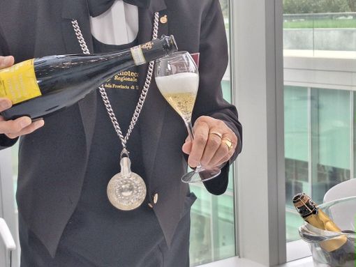 Vitivinicoltura in difficoltà: proposta la distillazione di crisi per salvare le Denominazioni