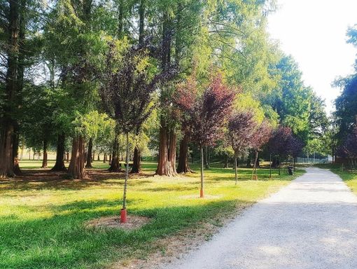 Mercoledì 9 si svolgerà la Fiera Agricola del Beato Angelo Carletti al Parco Mauriziano