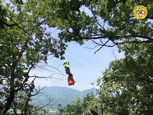 foto d'archivio foto d'archivio