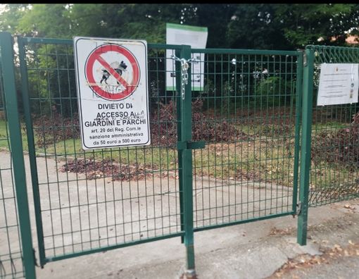 Cade un albero: il sindaco chiude il parco degli Alpini Cade un albero: il sindaco chiude il parco degli Alpini