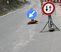 Foto di repertorio Foto di repertorio