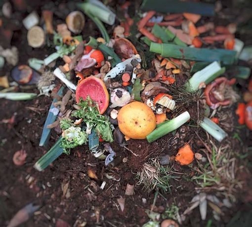 Biometano a Caluso, la sindaca: "Un parere solo dopo che verranno fugati tutti i dubbi" Biometano a Caluso, la sindaca: "Un parere solo dopo che verranno fugati tutti i dubbi"