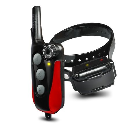 collare elettrico - foto di repertorio