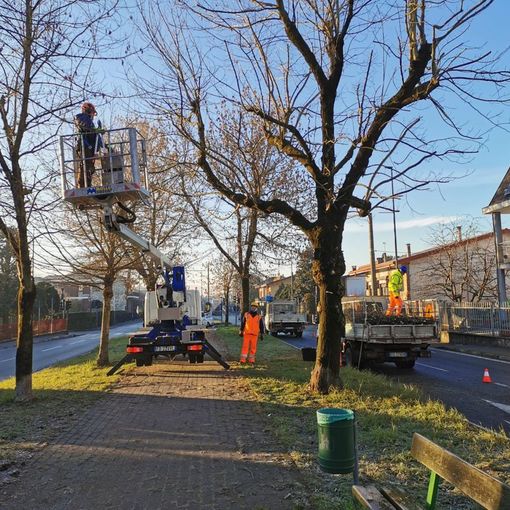 Partiti i lavori di manutenzione a Settimo Torinese