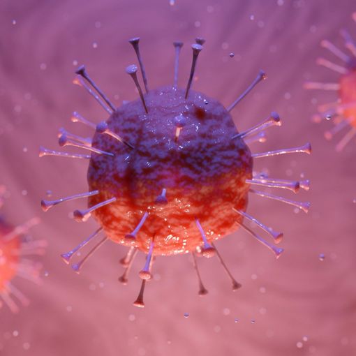 Covid, salgono (+5) i ricoverati in terapia intensiva in Piemonte, ma calano quelli generali (-56)
