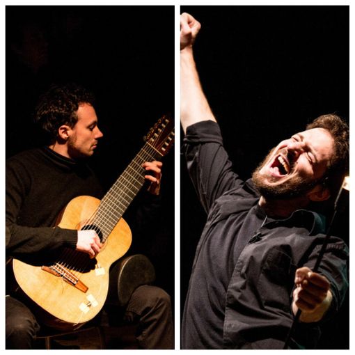 “L’albero storto - Una storia di trincea” stasera al Garybaldi