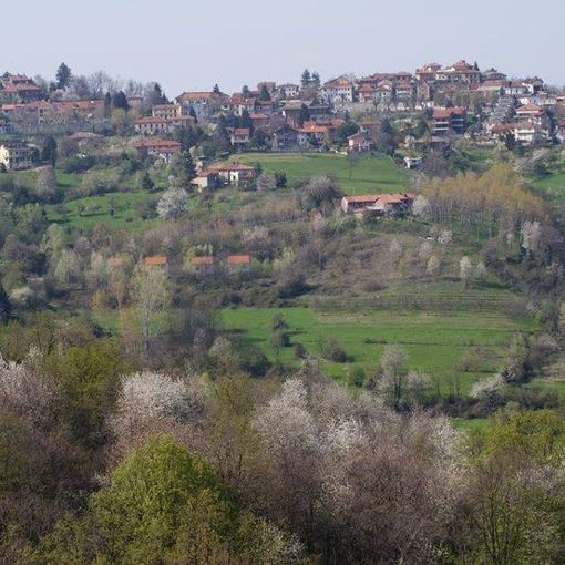 Consiglio comunale in videoconferenza a Castagneto Po