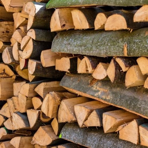 Un webinar sul valore della filiera del legno nel settore delle costruzioni