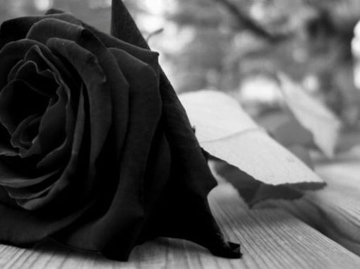 Scomparso da due settimane. Lo trovano morto in casa