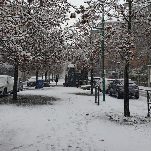 La neve nei viali di Chivasso