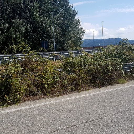 Brandizzo: Alternativa Civica, &quot;Serve manutenzione in strada Monviso!&quot;