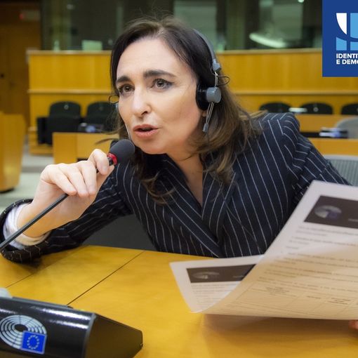 Vino, Gianna Gancia (Lega): &quot;Salvate le etichette per il 2023, la Commissione Ue rispetti gli atti di Parlamento e Consiglio&quot;