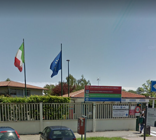 Foto di repertorio della Scuola di Veterinaria