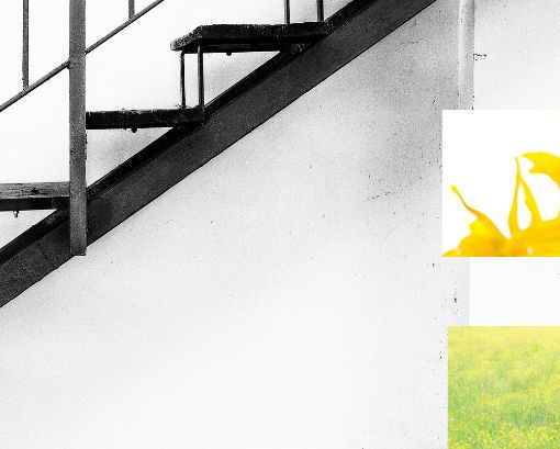 Chieri: inaugurazione della mostra “365 giorni di equilibrio”