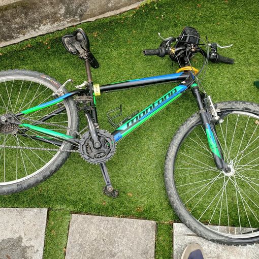A Marentino i cinghiali disarcionano un ciclista di 13 anni: ricoverato in ospedale
