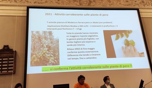 BioDea – risposte scientifiche nel workshop di venerdì 25 febbraio