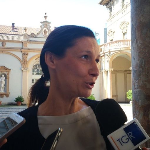 Affidi, Caucino: &quot;Spostiamo i soldi per darli direttamente alle famiglie. Non prendo lezioni da donne senza figli&quot;. Il Pd: &quot;A chi si riferisce?&quot;