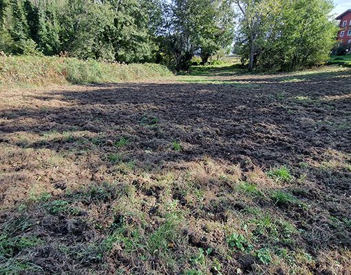 Parco 5 laghi di Ivrea, da oltre un mese bloccato il contenimento dei cinghiali