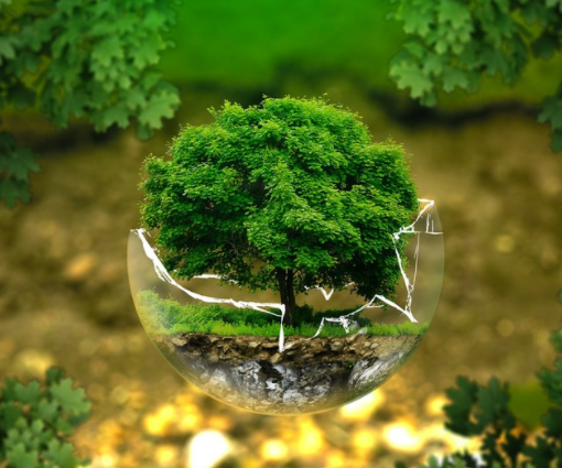 Il Festival della Giornata Mondiale dell'Ambiente sul nostro quotidiano il 5 giugno