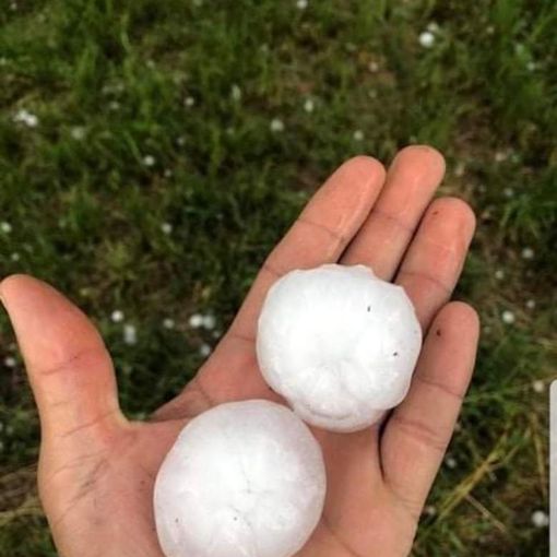Maltempo, Coldiretti Piemonte: &quot;Bollettino di guerra per forti grandinate, piogge e vento&quot;