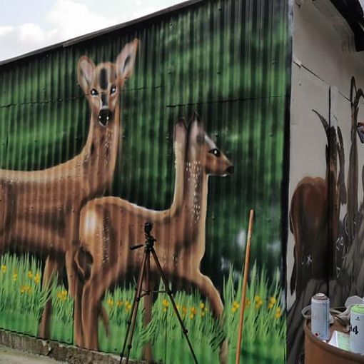 Ingria cambia volto grazie ai murales e suggerisce l'idea anche alla Regione Piemonte
