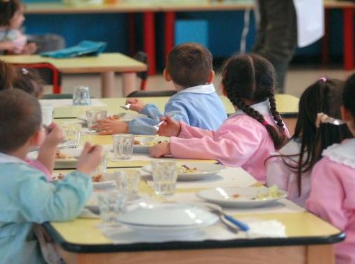 Insetti nella mensa scolastica, Chivasso prova a tranquillizzare: &quot;Solo un fatto isolato&quot;