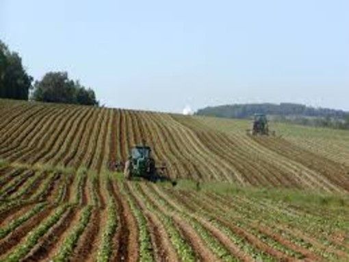 Agricoltura, Cia Piemonte: &quot;Accolta in Senato la nostra proposta sugli anticipi Pac alle aziende agricole&quot;