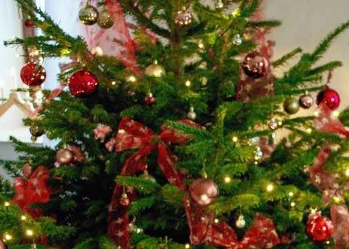 albero di Natale