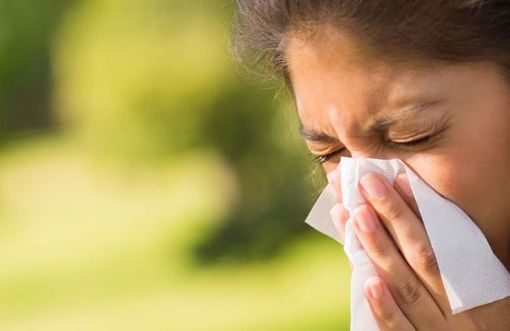 Piemonte: il caldo e la siccità fanno esplodere precocemente le reazioni allergiche ai pollini