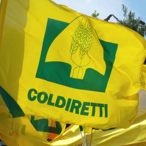 Ivrea, i terreni intorno alla Variante del Peduncolo restano agricoli