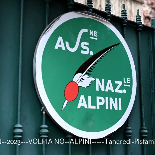 cerimonia con alpini e sindaco
