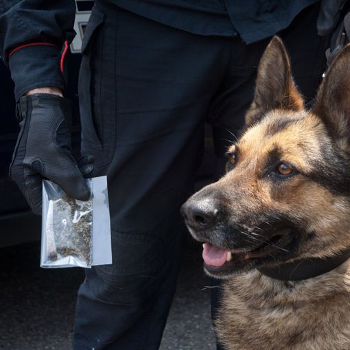 Feletto, spacciatore arrestato in casa: nell'abitazione nascondeva stupefacenti e quasi 4mila euro in contanti