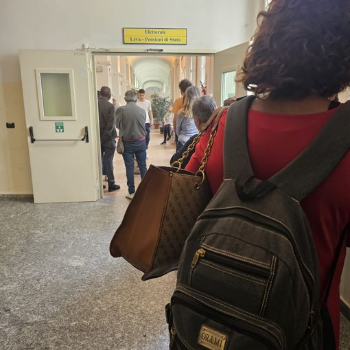 Elezioni Europee e Regionali. Informazioni utili, dati e tutto quello che c'è da sapere