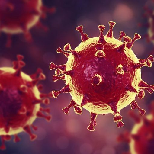 il coronavirus Covid-Sars-19