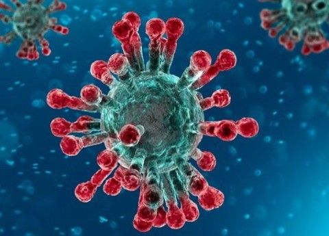 Coronavirus in Piemonte: nessun decesso nella giornata di oggi, altri 17 guariti