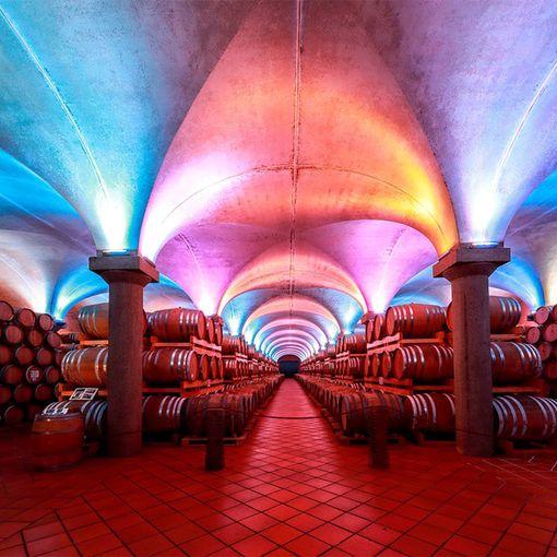 Le cantine delle Distilleria Berta di Nizza Monferrato, tra i partner del festival
