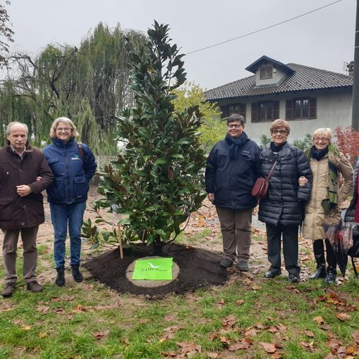 Celebrata a Chivasso la Giornata nazionale degli Alberi