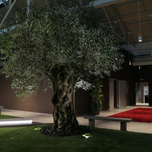 Giubileo approda sulle reti Mediaset